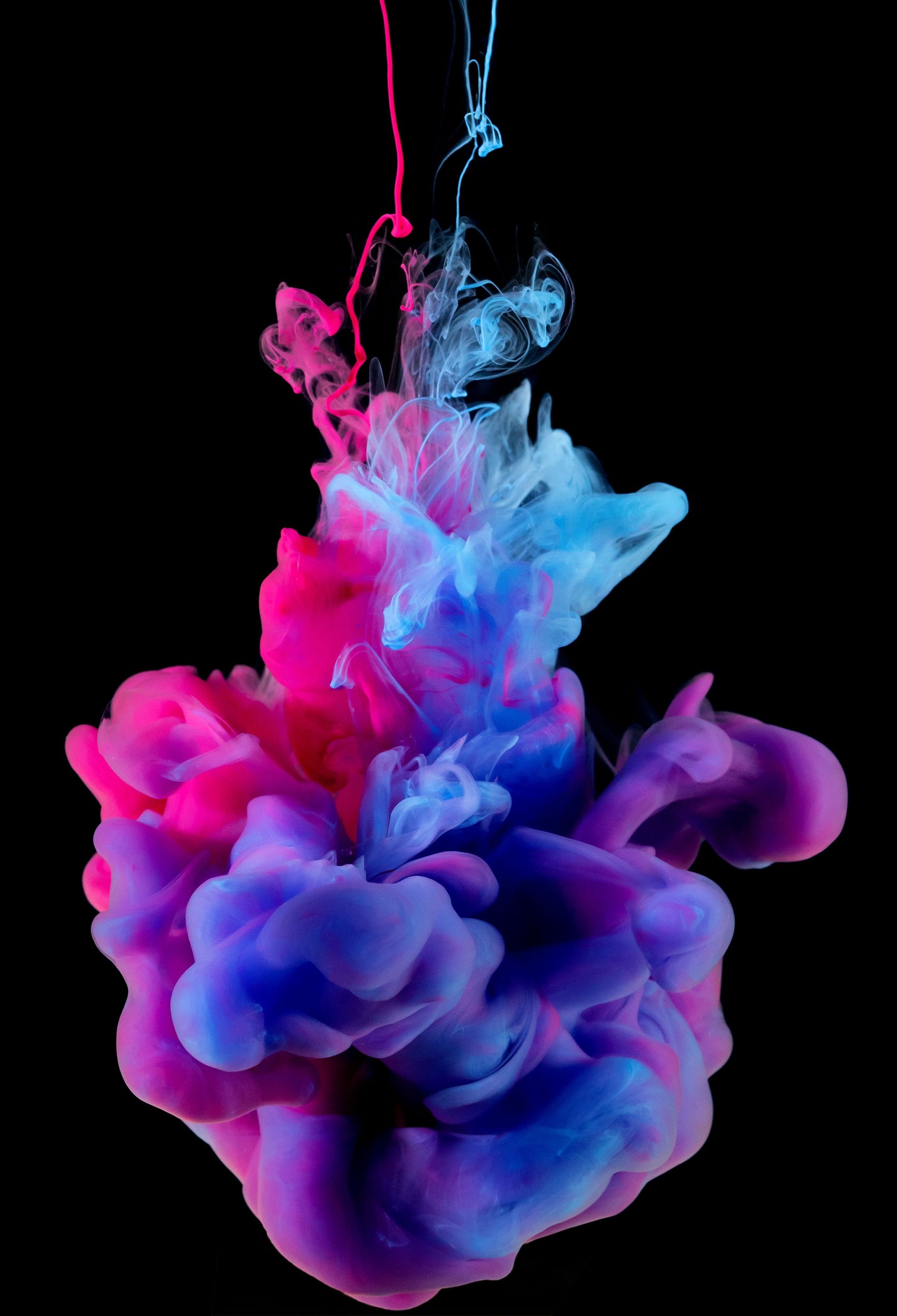 Colors ink splashing in water isolated on black background